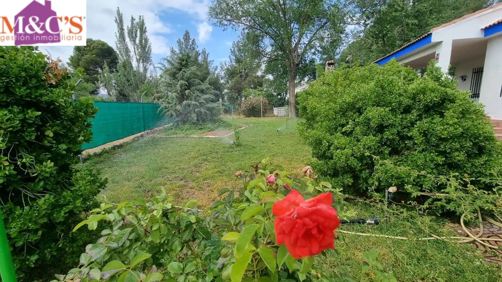 Terreno rustico in vendita a Argamasilla de Calatrava, imagen 39