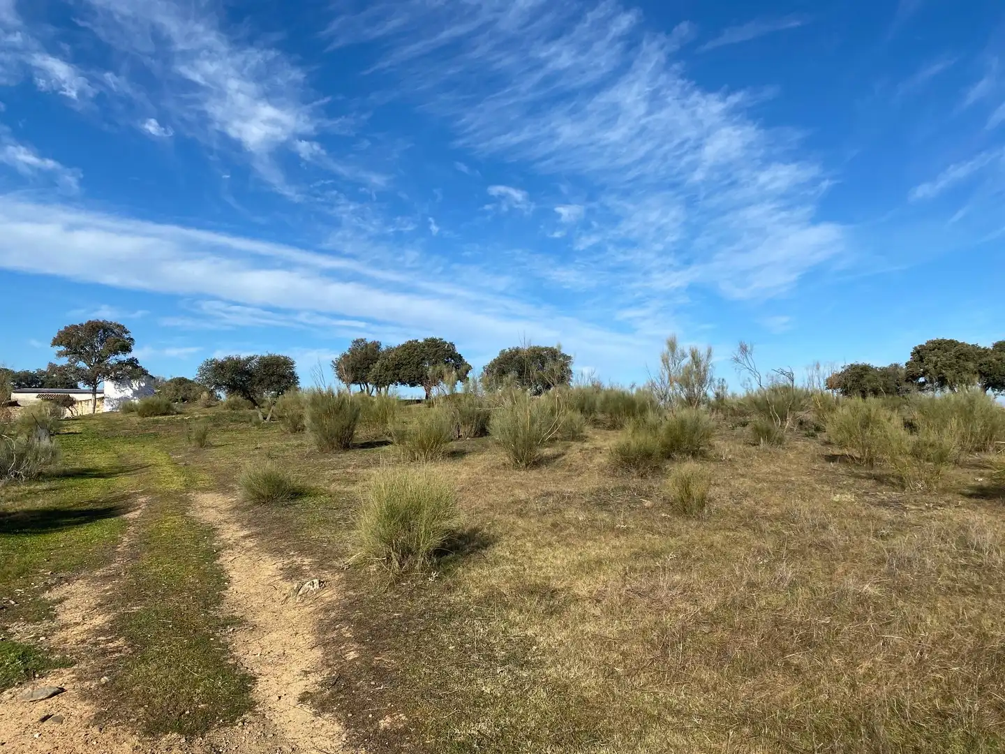 Grundstücke zum Verkauf in La Estrella