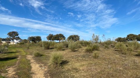 Finca  46,5 has zona Puente del Arzobispo Toledo, immagine 5