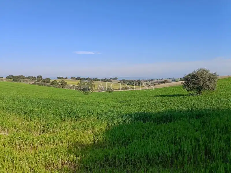 Terreni e lotti in vendita a Méntrida, imagen 14