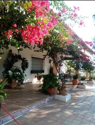 Photo 1 of House or chalet for sale in Alcolea, Córdoba