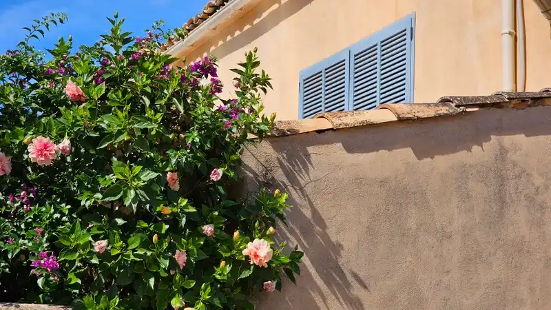 Vista exterior de Casa o chalet en venta en Santa María del Camí