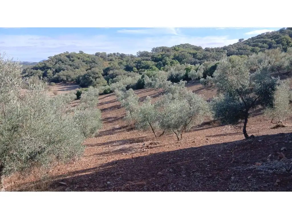 Residential for sale in Morón de la Frontera