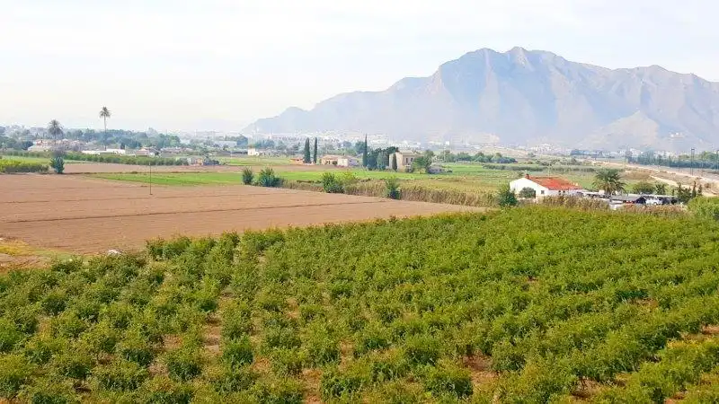 Landhaus zum Verkauf in Callosa de Segura, imagen 44