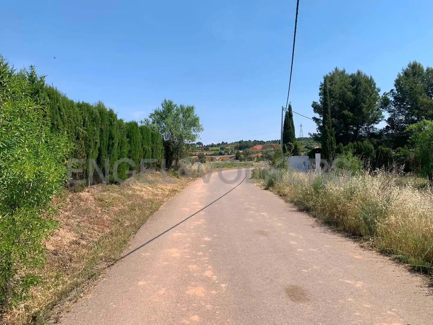 Terreny rústic en venda a Requena, imagen 2