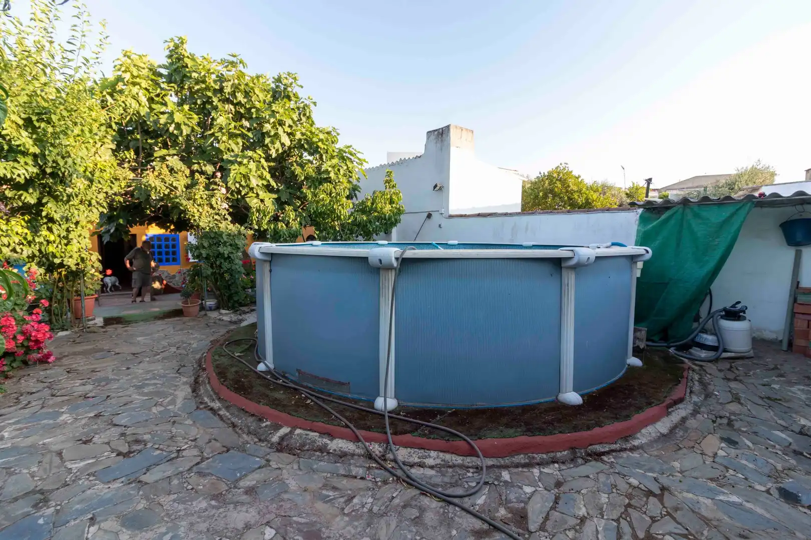 Piscina de Casa o chalet en venta en La Albuera con Piscina
