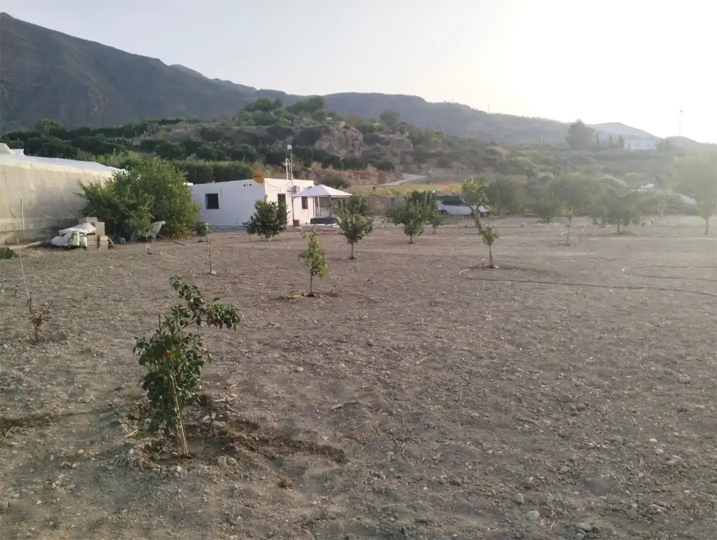 Casa o xalet en venda en Íllar amb Aire condicionat