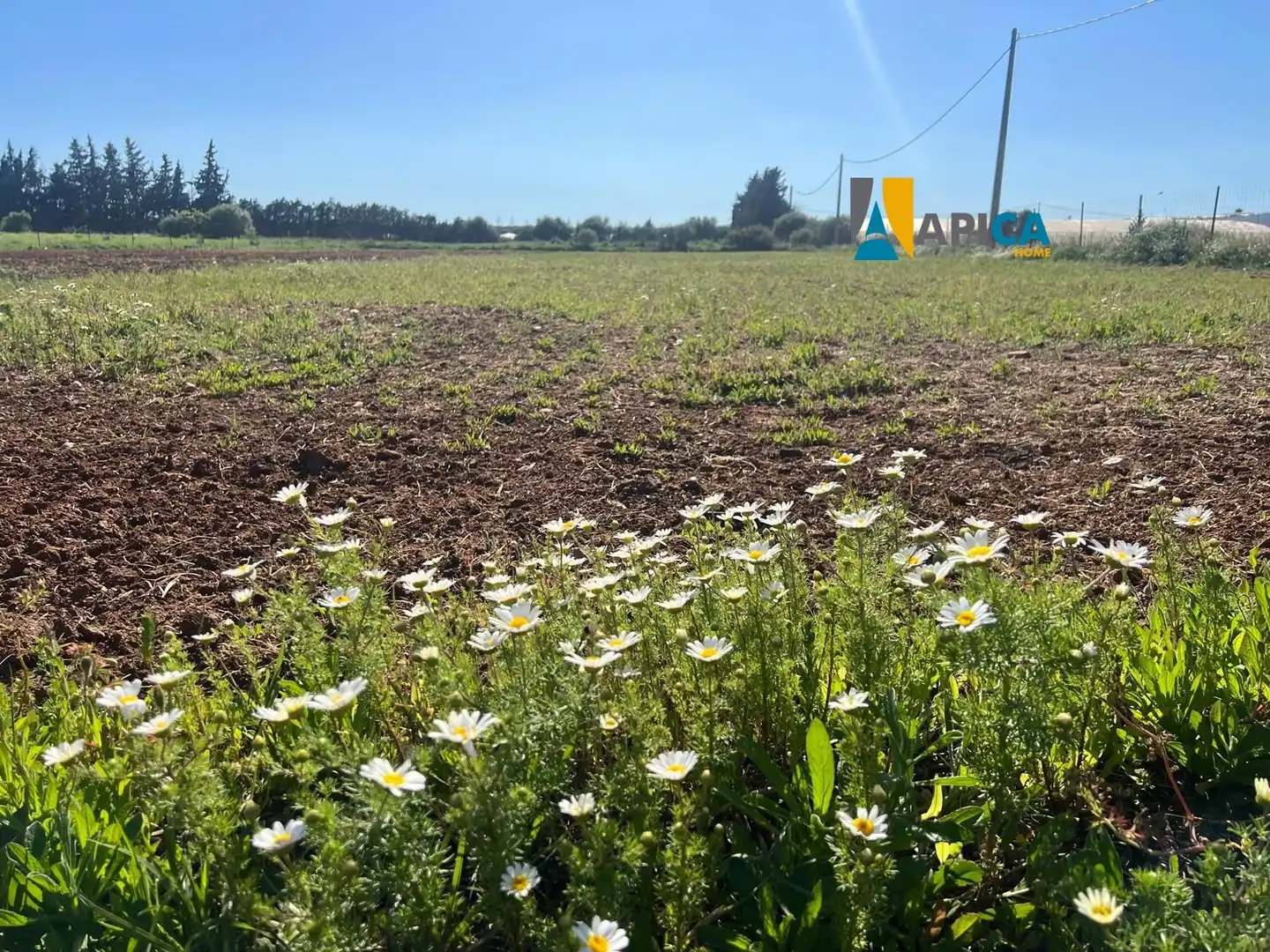 Terreno en venta en Conil de la Frontera
