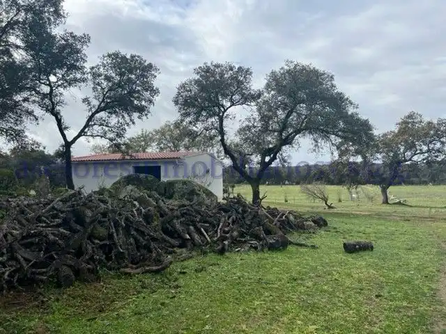 Terreno rústico en venta en El Pedroso, imagen 18