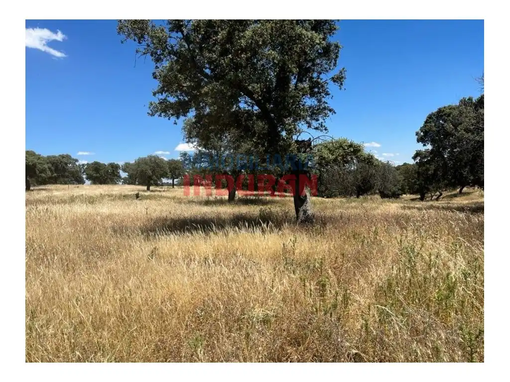 Finca rústica en venda en Alía