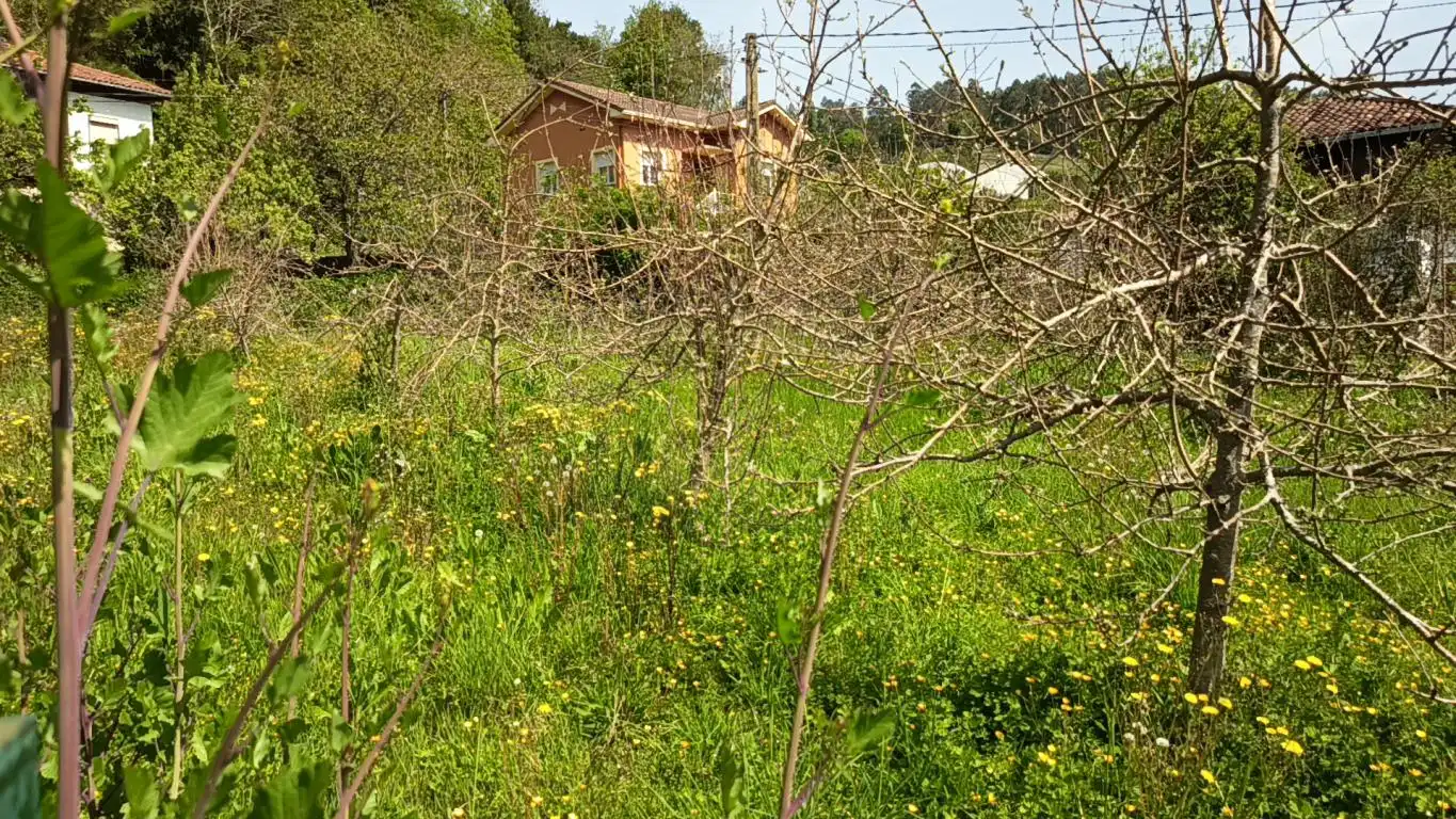 Residential land for sale in CD-1, imagen 12