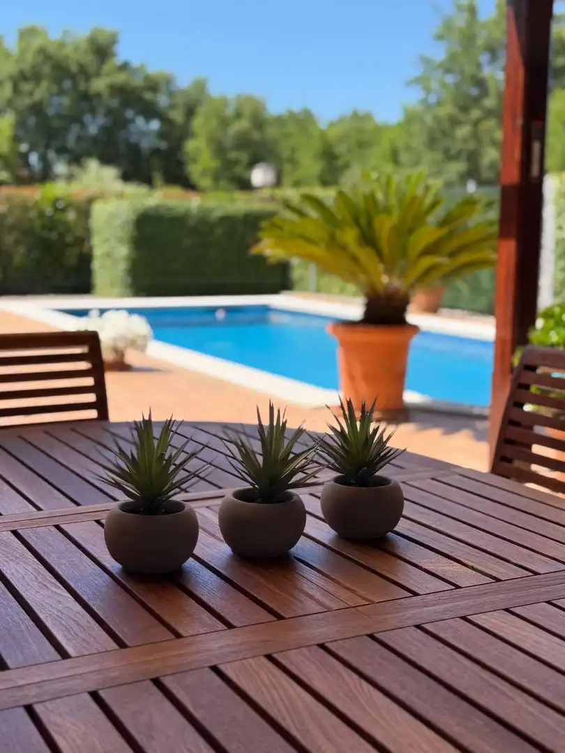 Casa con giardino in vendita a JOSEP MARIA DE VENTÓS, imagen 47