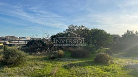 Foto 4 de Residencial en venda a Carretera de Almería, 222, Ejido Centro, El Ejido