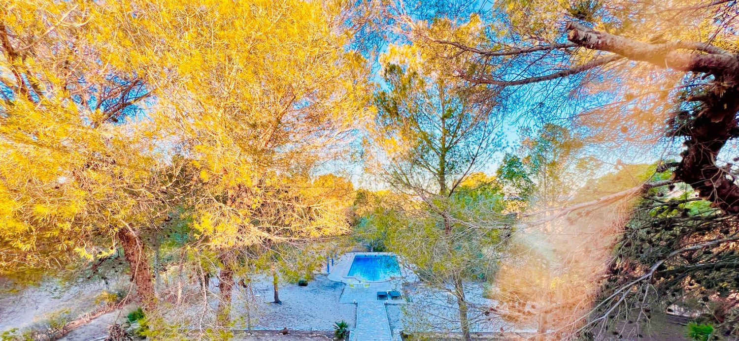 Piscina de Finca rústica de lloguer en Orihuela amb Terrassa i Balcó