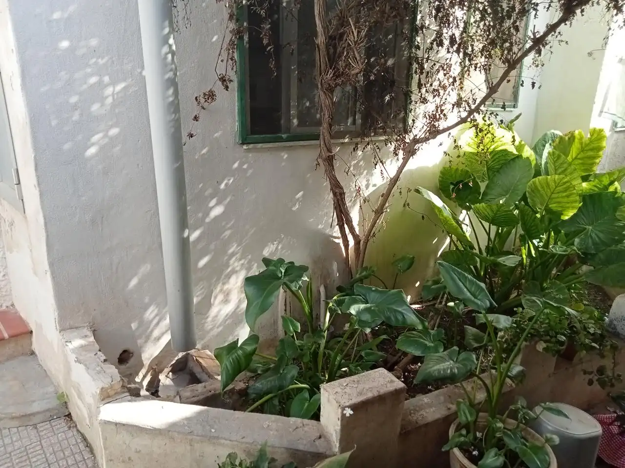 Casa rustica con giardino in vendita a Barrio las Barracas, imagen 5