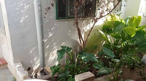 Foto 5 de Finca rústica en venda a Barrio las Barracas, Benejúzar, Alicante