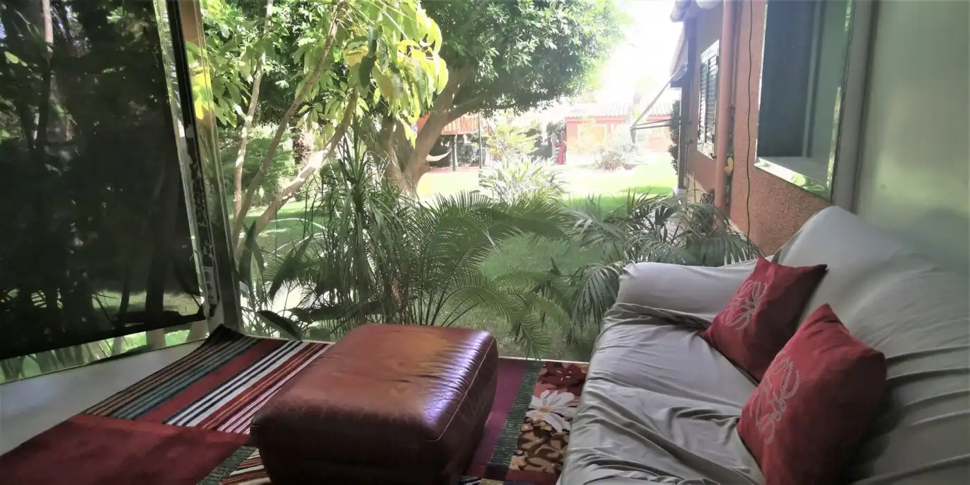 Jardí de Casa o xalet en venda en Elche / Elx amb Aire condicionat, Jardí privat i Terrassa