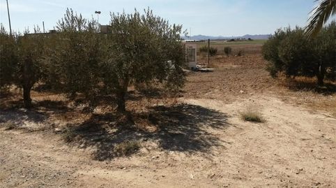 Foto 5 de Terreno en venta en Plaza de la Iglesia, Jimenado, Torre-Pacheco