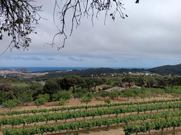 Grundstücke und Bauplätze zum Verkauf in Condado del Jaruco - Puigventós