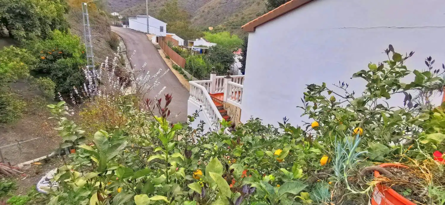 Vista exterior de Casa o xalet en venda en Canillas de Aceituno amb Jardí privat, Terrassa i Traster