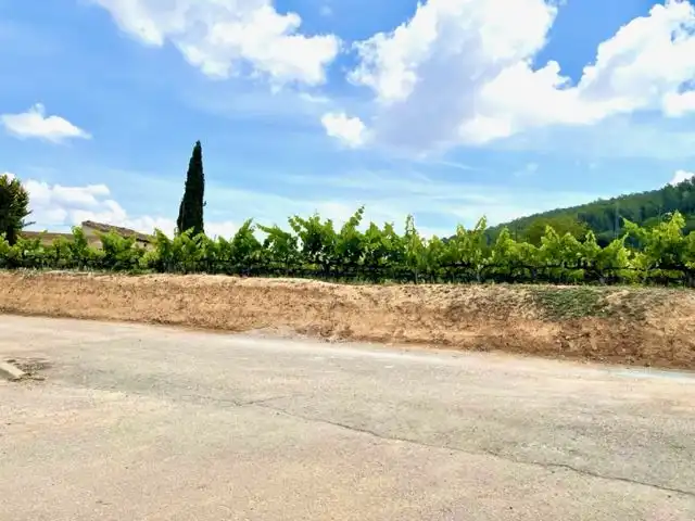 Terreny residencial en venda a Pacs del Penedès, imagen 15