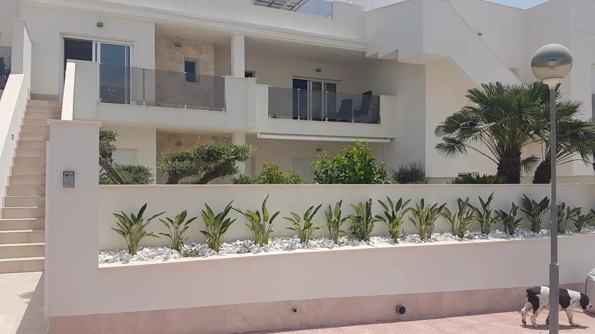 Penthouse mit Pool zum Verkauf in San Miguel de Salinas, imagen 50