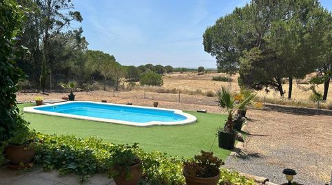 Foto 5 de Finca rústica en venta en Cartaya, Huelva