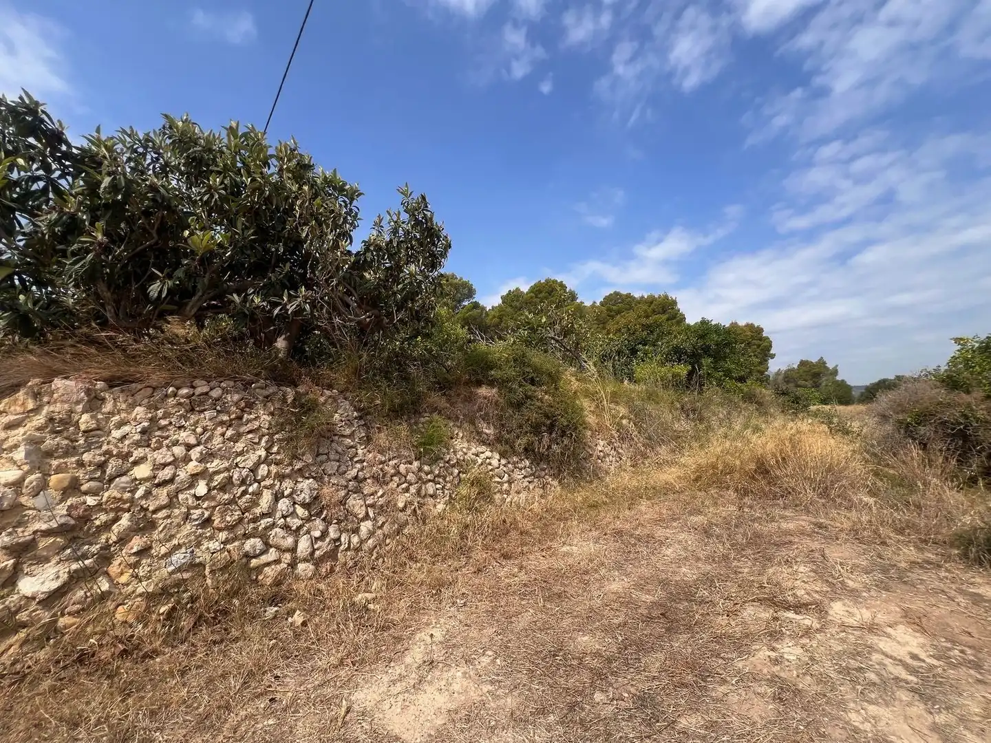 Terrain rustique à vendre à pesauro, imagen 11