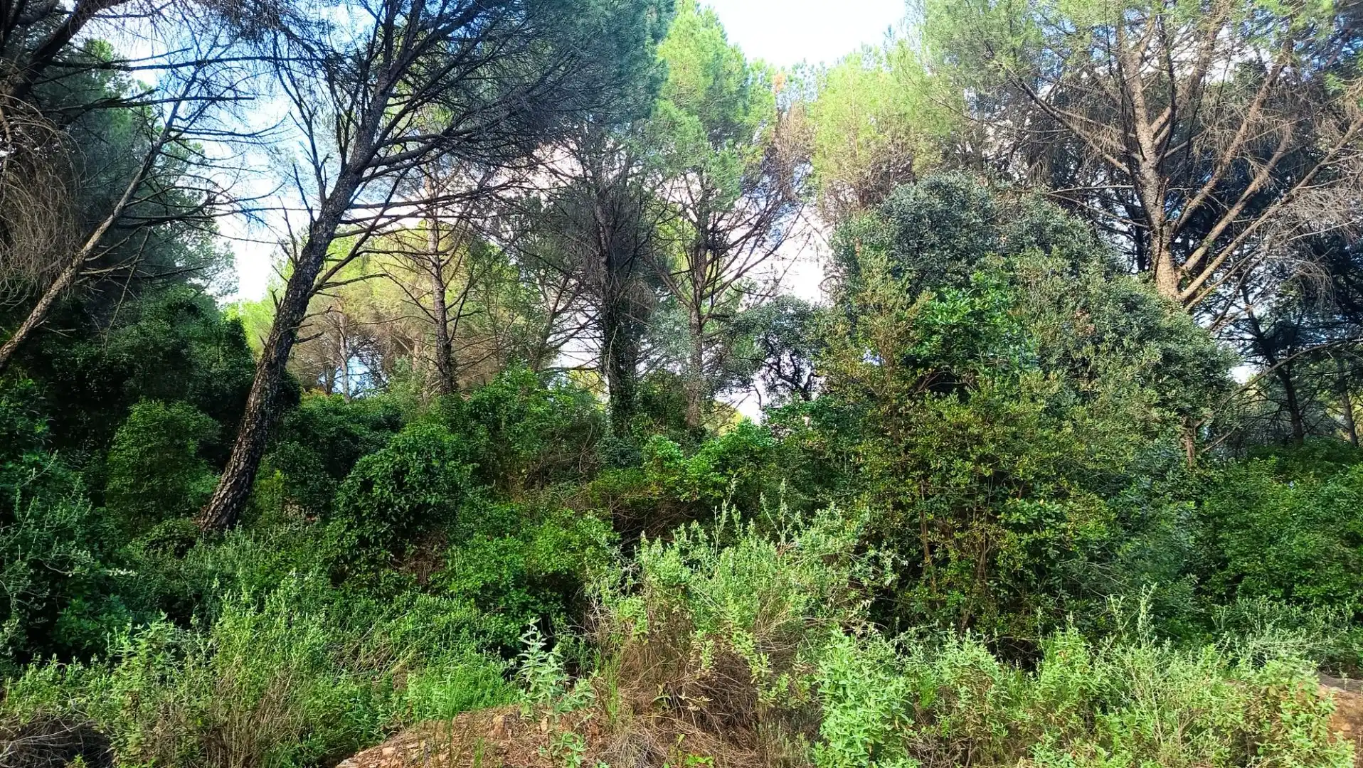 Grundstücke und Bauplätze zum Verkauf in Periurbano Oeste - Sierra, imagen 3