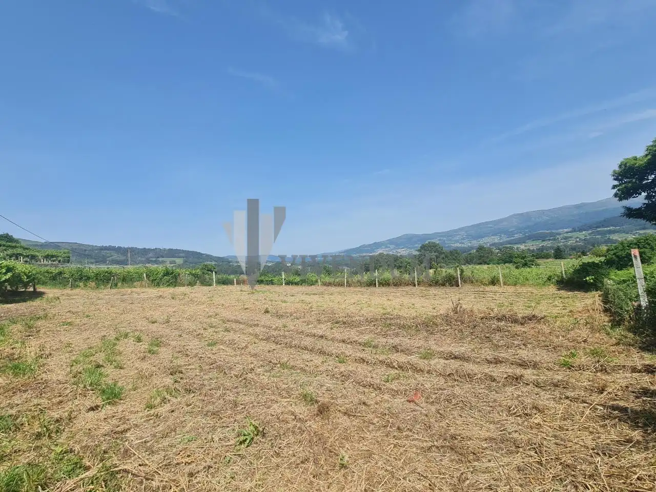 Rural land for sale in Arbo, imagen 11