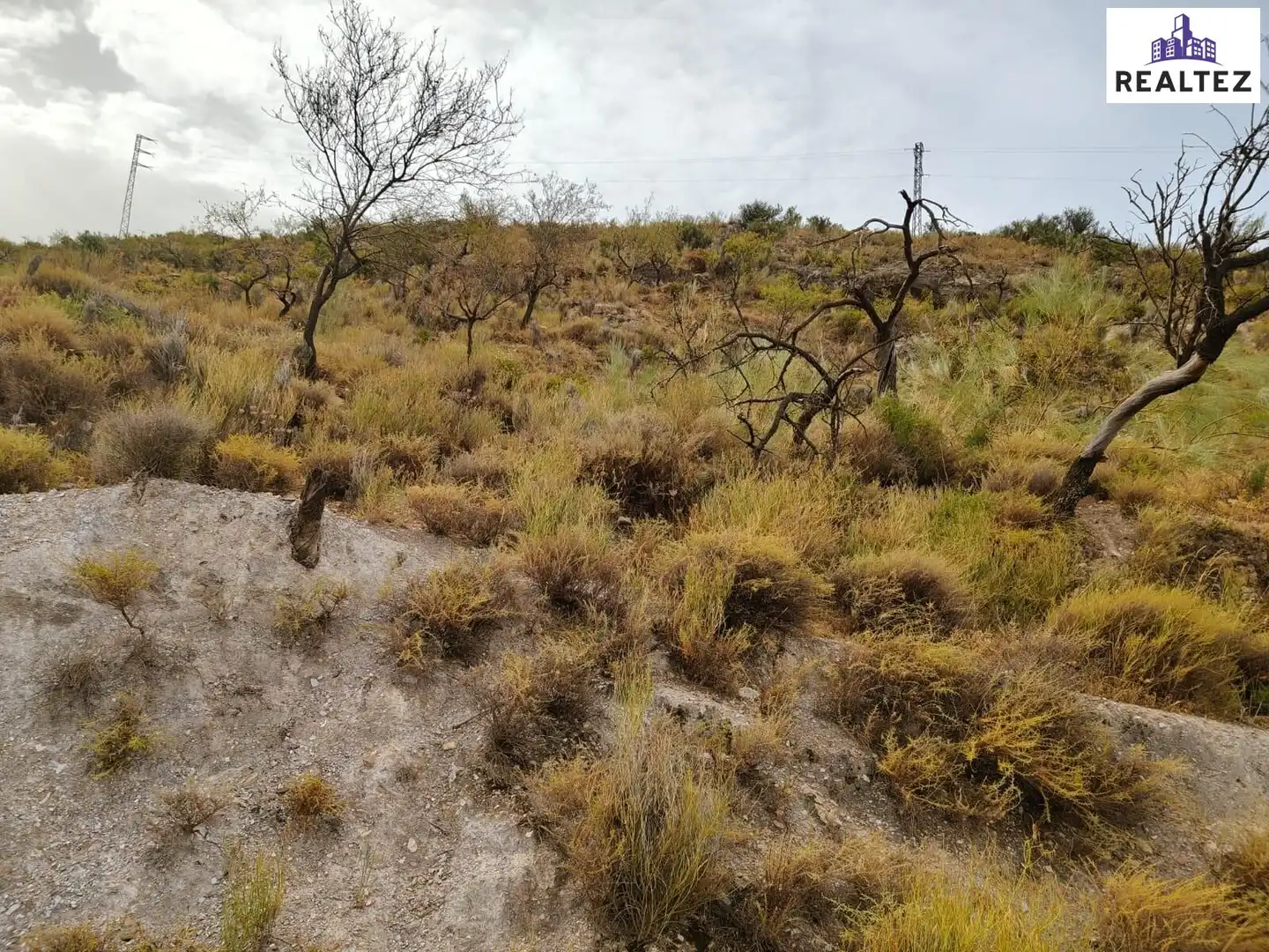 Terrain rustique à vendre à Alcolea, imagen 6