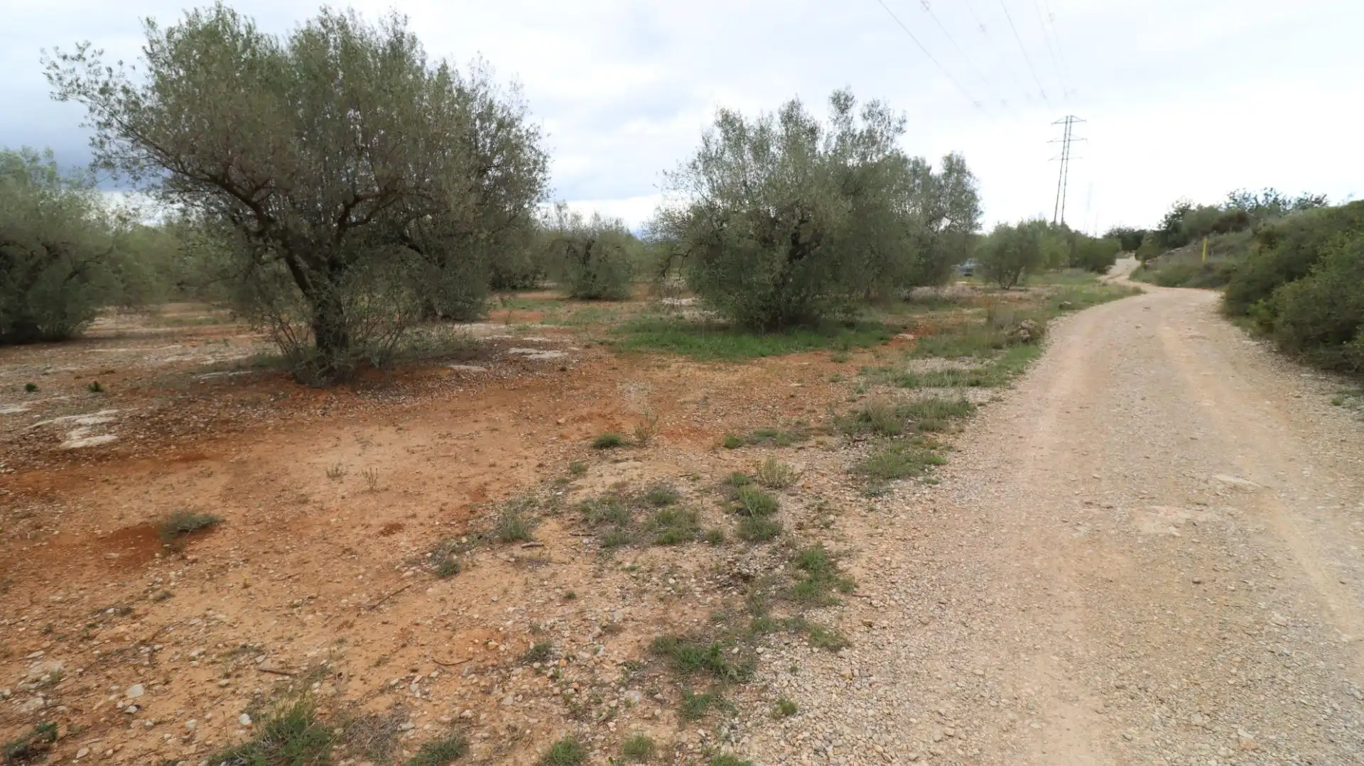 Terreny rústic en venda a Ulldecona, imagen 5