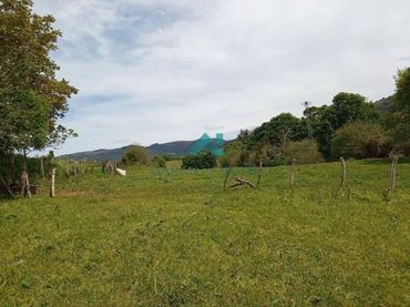 Terreny rústic en venda a Rasines