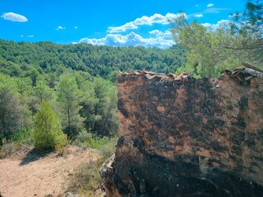 Terreny rústic en venda a Horta de Sant Joan