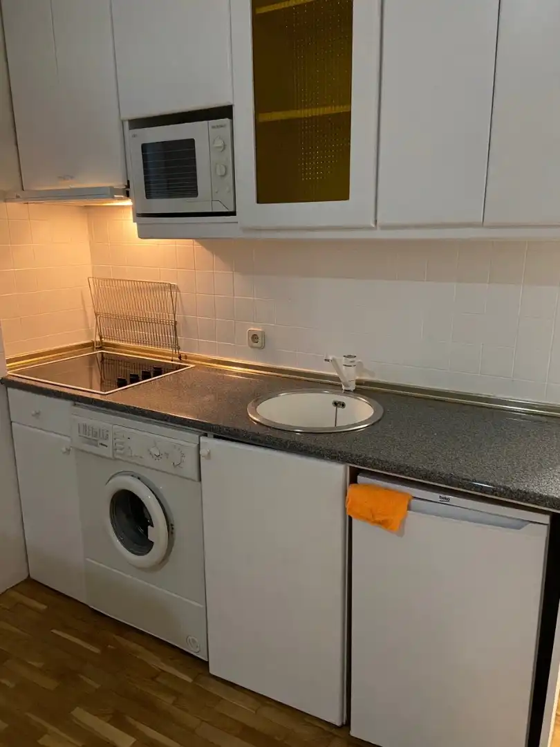 Cuina de Apartament de lloguer en Madrid amb Calefacció, Moblat i Forn