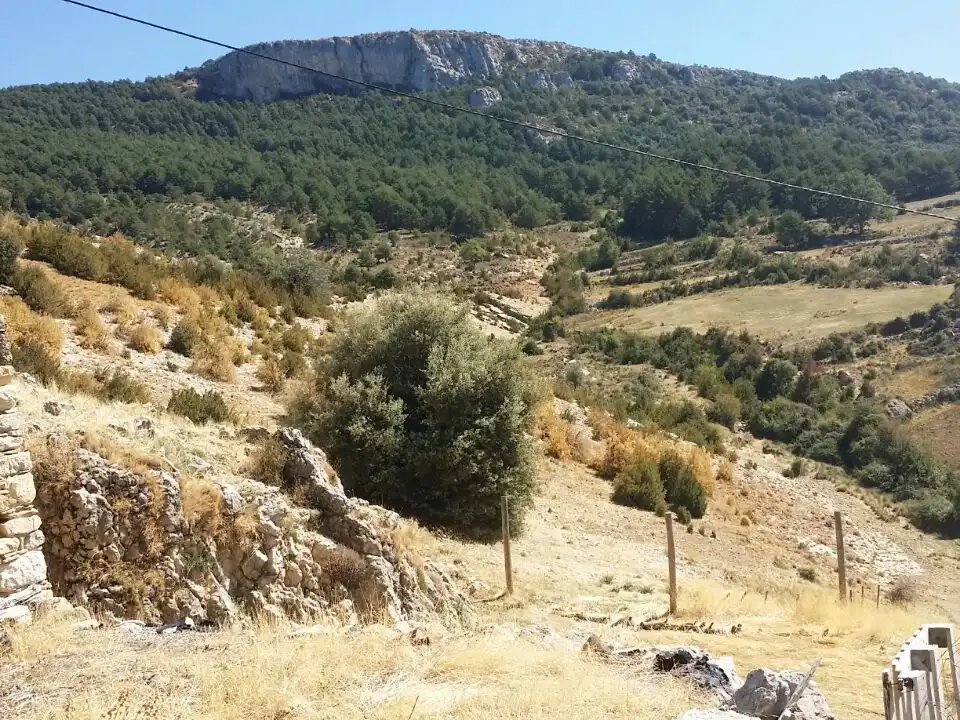 Houses for sale in Isábena, Huesca