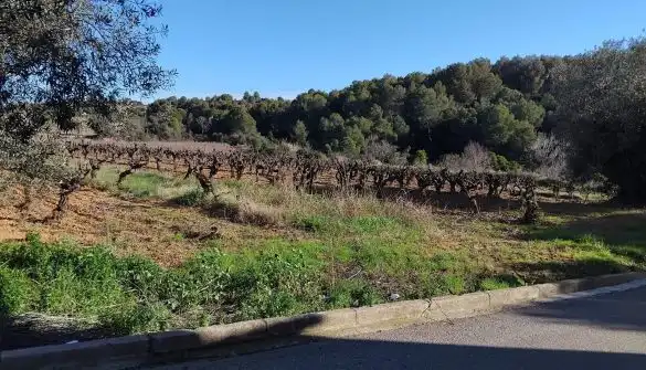Lands and plots for sale in Sant Llorenç d'Hortons