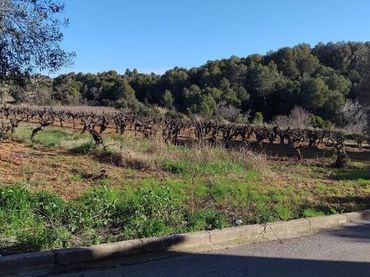 Terrenys i solars en venda a Sant Llorenç d'Hortons
