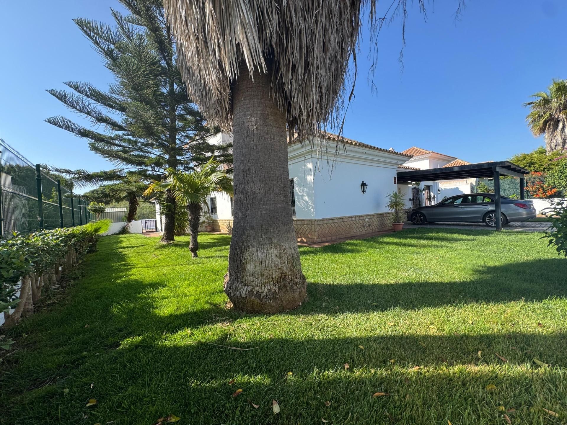 Exterior view of House or chalet for sale in El Portil  with Private garden, Terrace and Swimming Pool