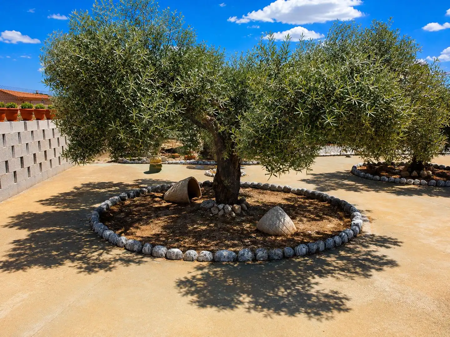 Garden of Houses for sale in Fortuna  with Air Conditioner, Terrace and Swimming Pool