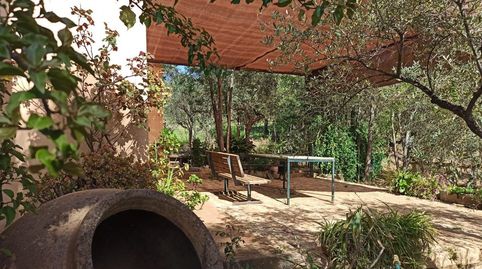 Foto 2 de Finca rústica en venta en El Pedroso, Sevilla