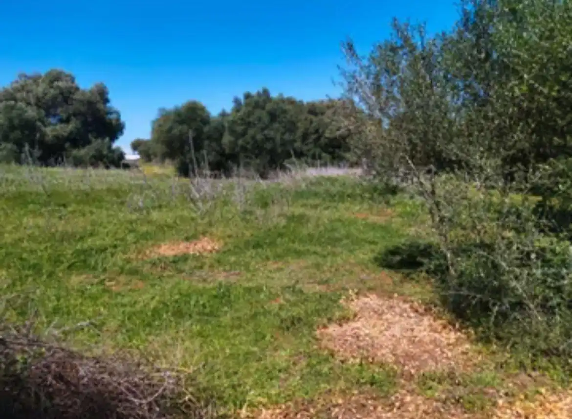 Finca rústica en venda en Barbate