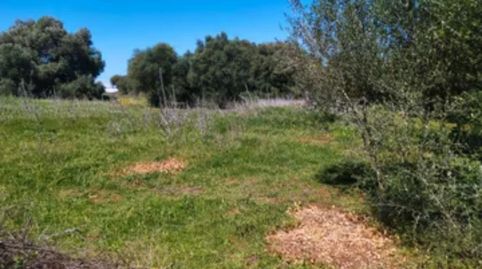 Foto 4 de Finca rústica en venda a Barbate ciudad, Barbate