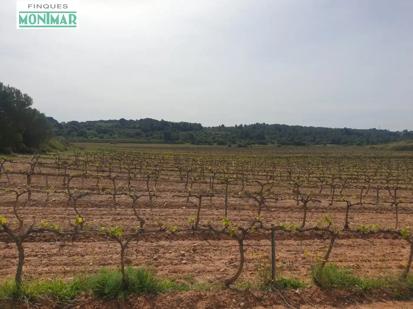 Country homes for sale in Vilabella