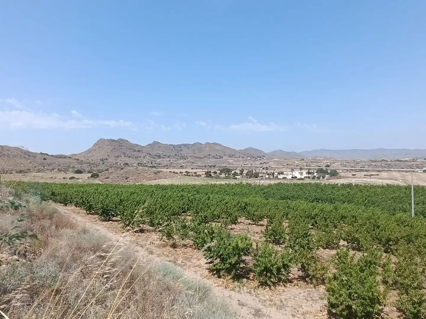 Land for sale in Mazarrón