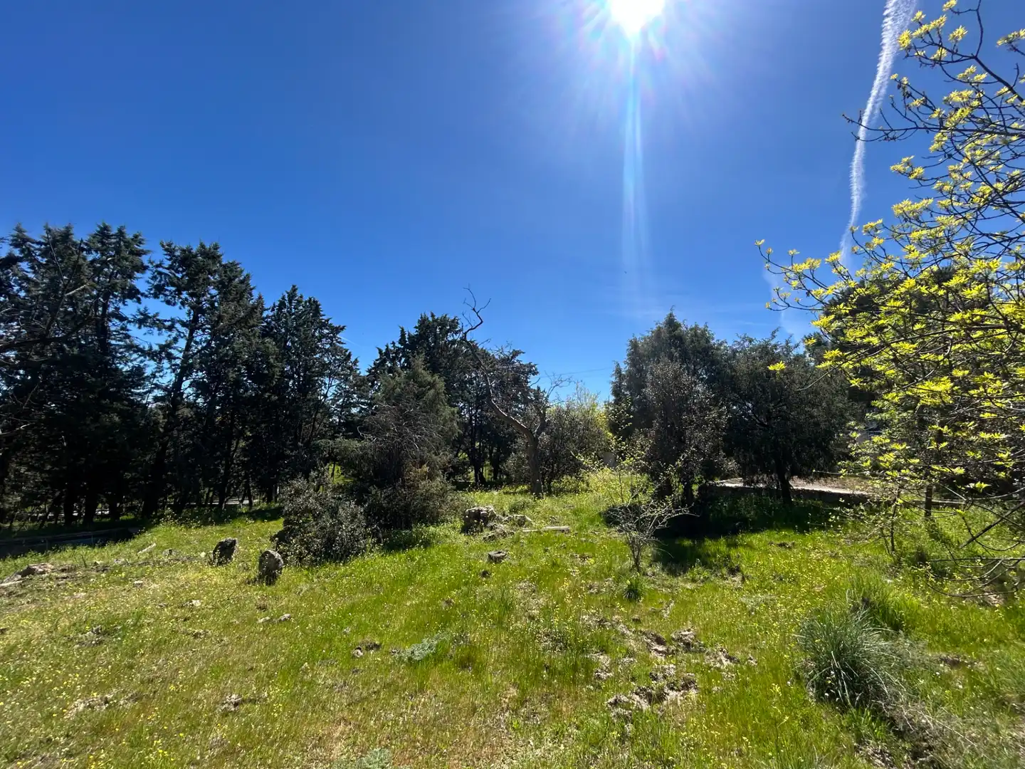 Terreno residencial en venta en Avenida de Pinares, imagen 9
