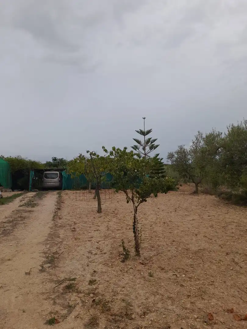 Rural land for sale in Salomó, imagen 8