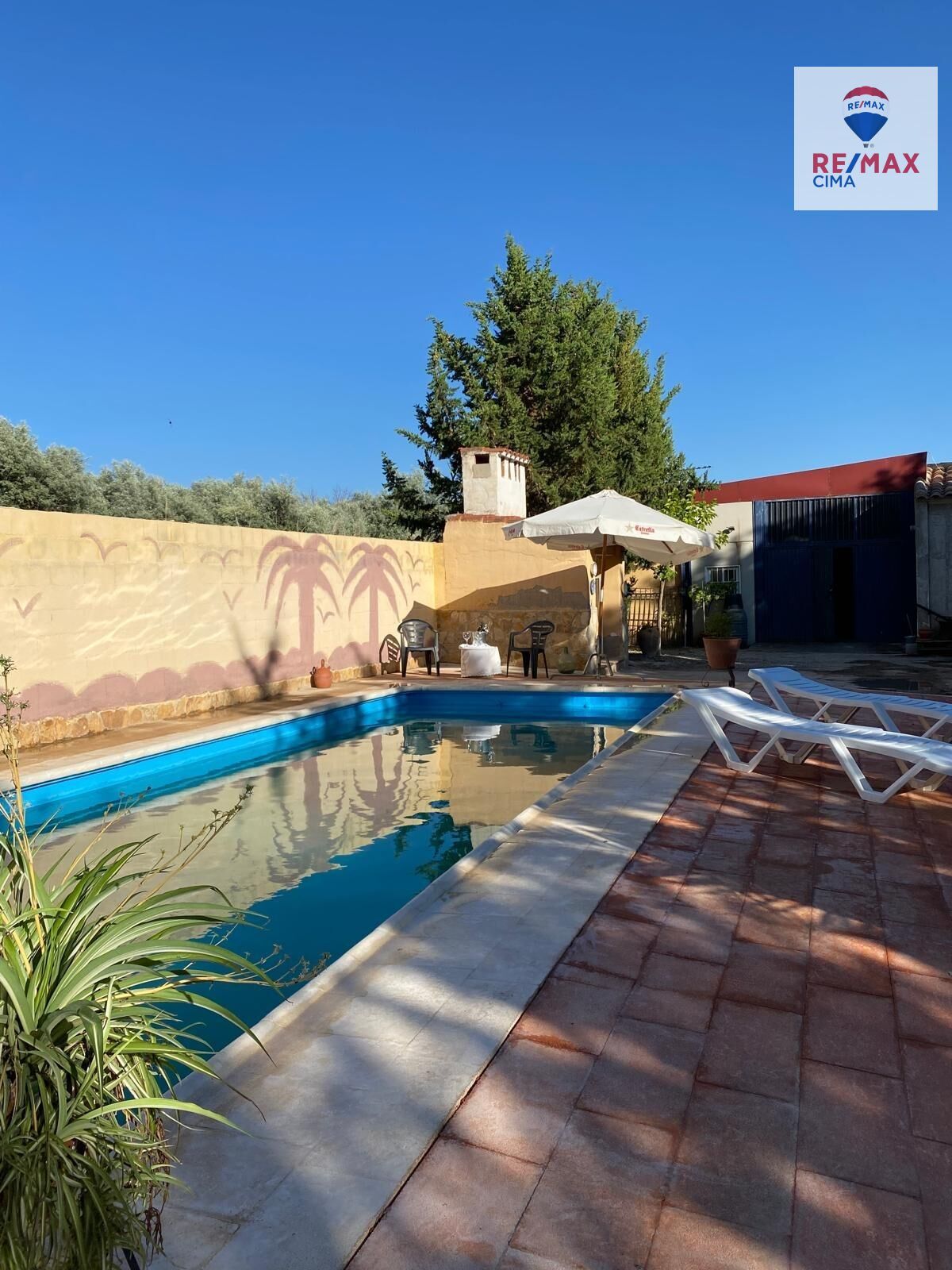 Piscina de Casa o xalet en venda en Cúllar amb Jardí privat i Piscina comunitària