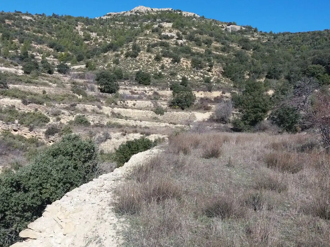 Terreno en venta en Todolella