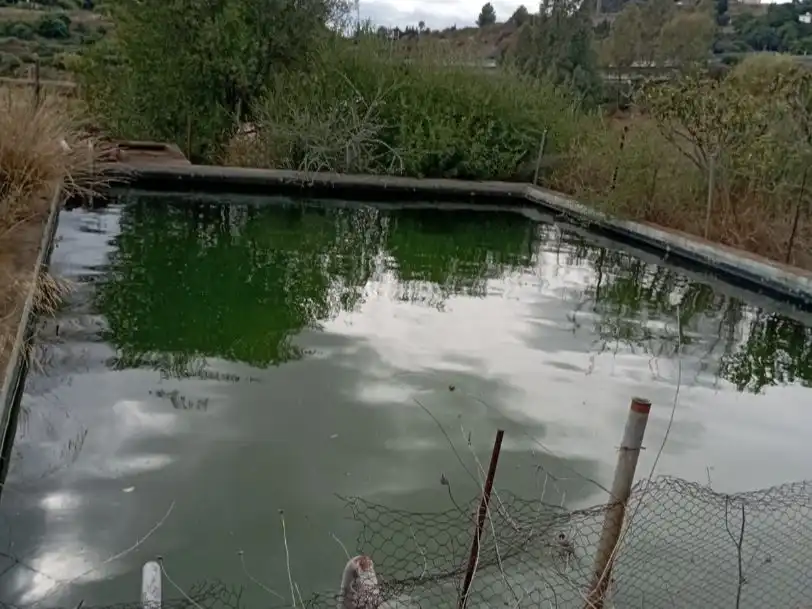 Piscina de Terreno en venta en Estepona
